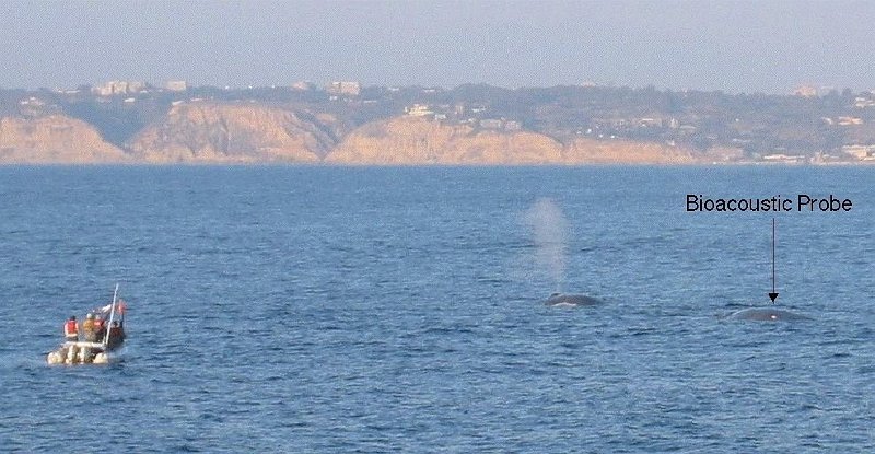 2002-06-30 BProbe on Blue off La Jolla